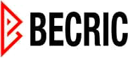 becricapp.net Logo